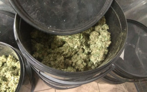 Policja zabezpieczyła również 5kg marihuany, Foto: Policja