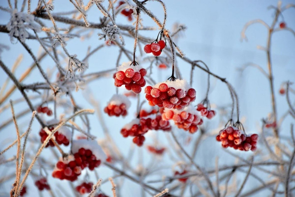 Synoptycy przewidują dzis niewielkie opady śniegu, Foto: Pixabay/katya-guseva0