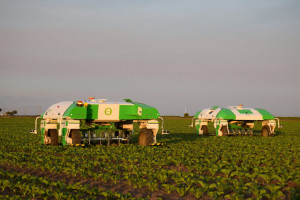 Naïo Technologies: autonomiczne roboty rolnicze już na wiosnę?