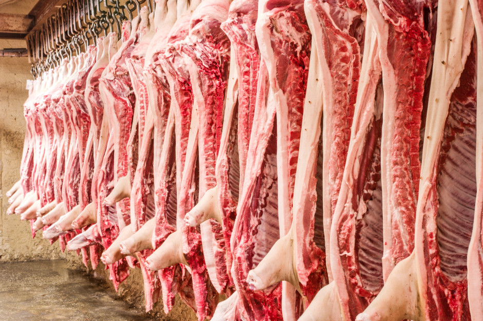 Zakłady przetwórcze często zainteresowane są zakupem „ekologicznej” wieprzowiny, jednak rynek rzadko dostarcza im odpowiednio duże partie surowca, fot. Stock.Adobe