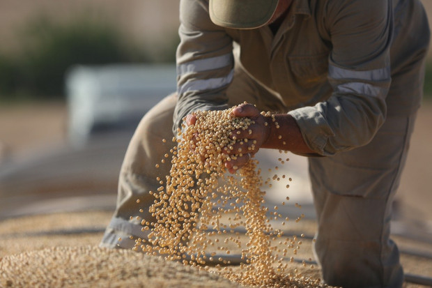 Argentyńscy rolnicy obawiają się słabych zbiorów z powodu suszy