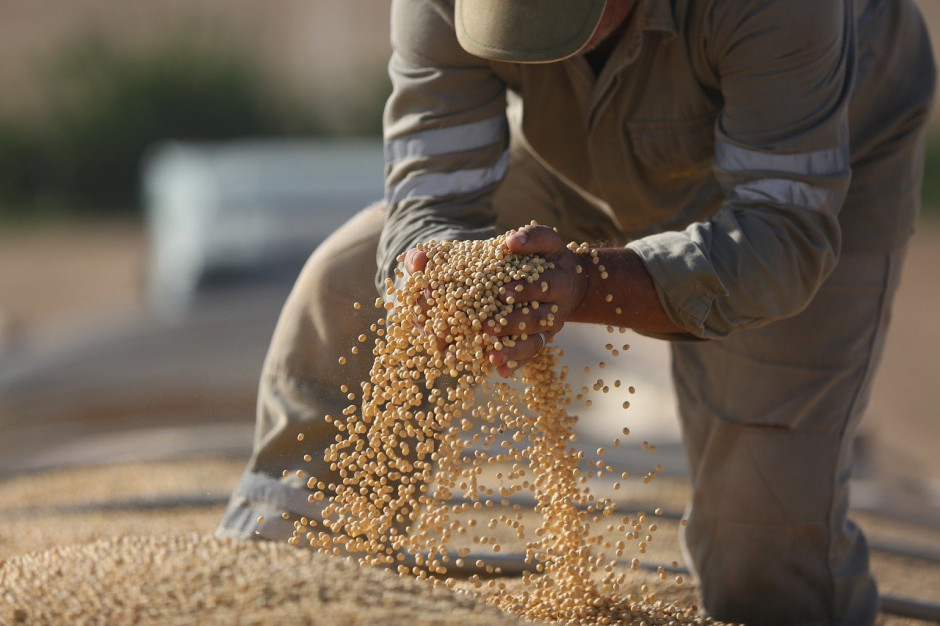 Z powodu ekstremalnej suszy na półkuli południowej, rolnicy w Argentynie martwią się o zbiory Kukurydzy i soi; Fot pixabay.com