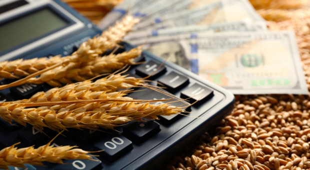 Spadkowy tydzień notowań zbóż na światowych giełdach