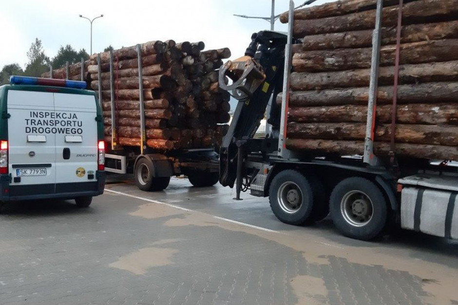 Inspekcja drogowa sprawdza transporty z drewnem z czech, Foto: WITD Wodzisław Śląski