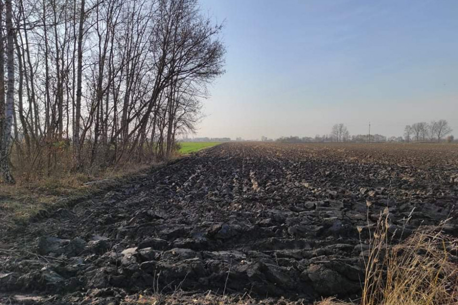 Czynsz dzierżawny: jak KOWR może pomóc rolnikom w trudnej sytuacji? fot. A.Kozłowska