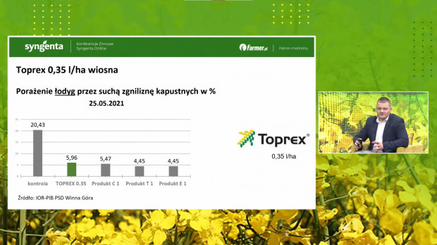 Wpływ środka Toprex na porażenie łodyg przez suchą zgniliznę kapustnych (źródło: slajd z konferencji).