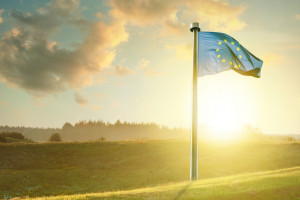 Copa-Cogeca: unijne organizacje rolnicze solidarne z Ukrainą