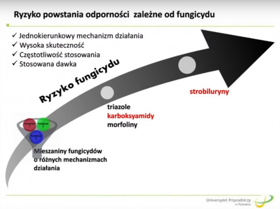 Ryzyko wykształcania odporności patogenów w zależności od substancji czynnej fungicydu (slajd z prezentacji).