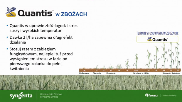 Zalecenia do stosowania biostymulatora Quantis w uprawie zbóż (slajd z konferencji).