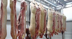 Alarm na chińskim rynku wieprzowiny - państwo gotowe do przechowywania mięsa