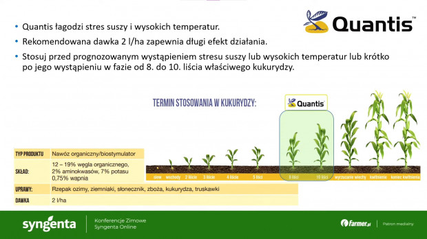Zalecenia stosowania biostymulatora w uprawie kukurydzy (slajd z konferencji).