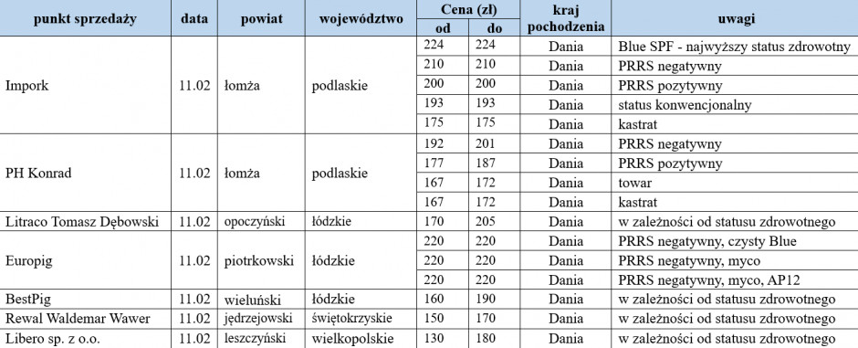 Ceny warchlaków importowanych z dn.11.02.2022