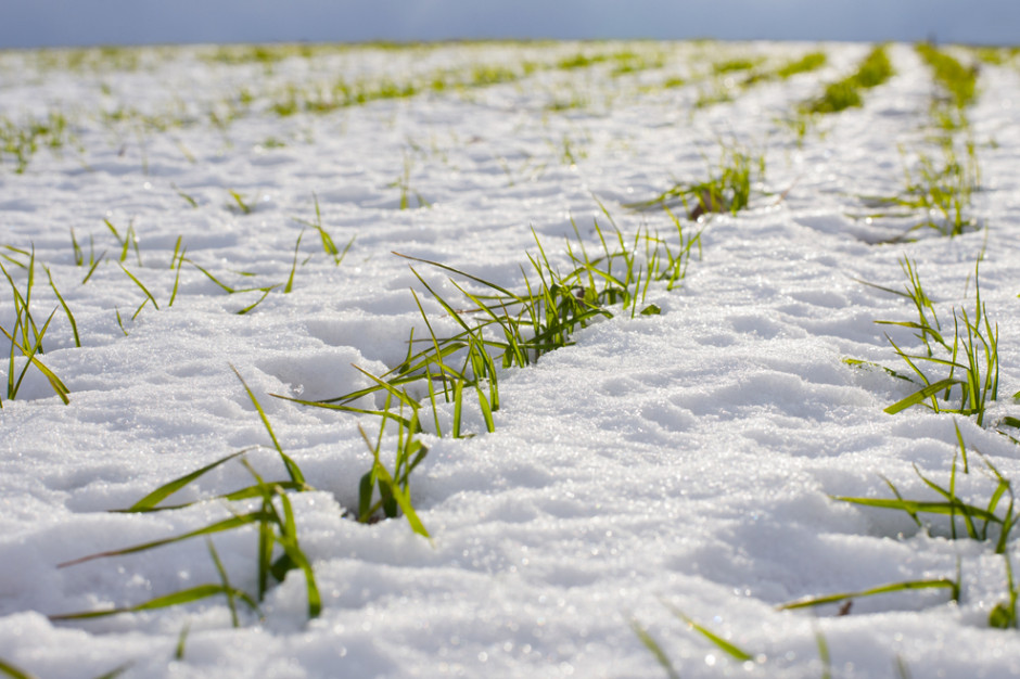 Przelotne opady deszczu, deszczu ze śniegiem i śniegu, głównie we wschodniej połowie kraju, fot. Shutterstock