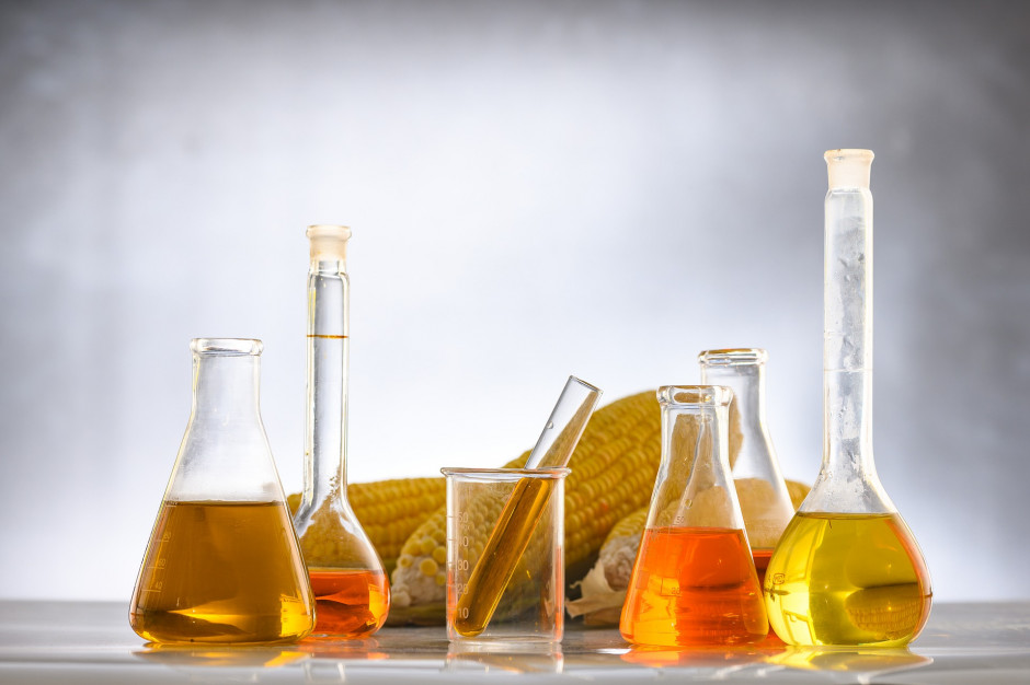 Nowelizacja zwiększy produkcję bioetanolu pod E10, fot. pixabay
