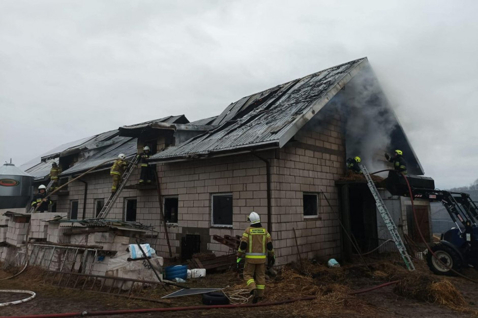 Z powodu zwarcia w instalacji zapaliło się poddasze budynku, Foto: PSP Piotrków, OSP Skotniki, OSP Niewierszyn