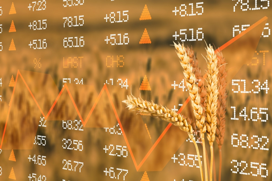 Wpływ wojny na ceny pszenicy, fot. Shutterstock
