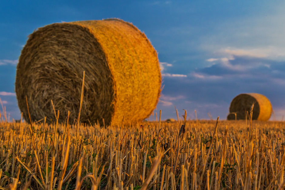 Szykują się ciekawe przepisy dotyczące ziemi rolnej w związku z walką z suszą, fot. pixabay