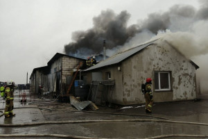Pożar w gospodarstwie – płonęła pieczarkarnia i kotłownia