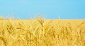 Jakie konsekwencje dla rynku zbóż może mieć wojna w Ukrainie?