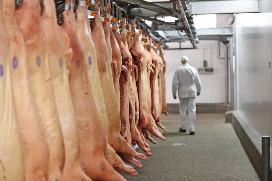 W Niemczech produkcja wieprzowiny w I kwartale  spadła o 8,2 proc. w porównaniu z I kwartałem 2022 r.; Fot. Tequiero Schutterstock