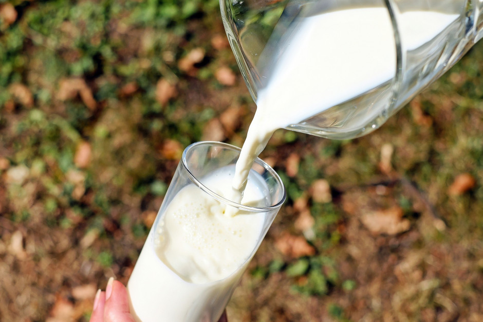 Z informacją o wartościach odżywczych mleka trzeba docierać do najmłodszych pokoleń, fot. pixabay