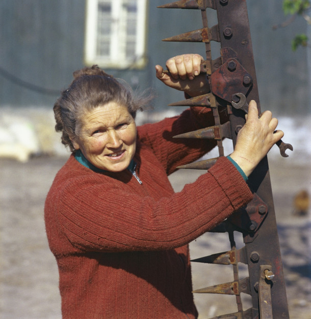 Magdalena Figur w 1979 r. Prowadziła wówczas własne gospodarstwo, niedaleko rodzinnych Nowin i Dzierzgonia, fot. PAP / Bogdan Różyc