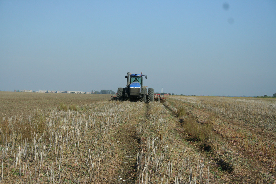 Ponad 20 proc. ziemi rolnej Ukrainy pozostawało przed wojną w rękach holdingów. Fot. Michał Wołosowicz