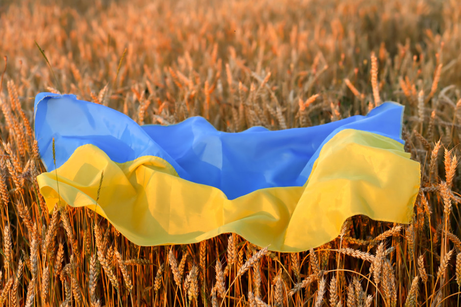 BŚ planuje dalszą pomoc dla ukraińskiego rolnictwa; Fot Shutterstock