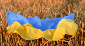 Spadek produkcji w Ukrainie. Spodziewana mniejsza sprzedaż ziarna w 2023 r.