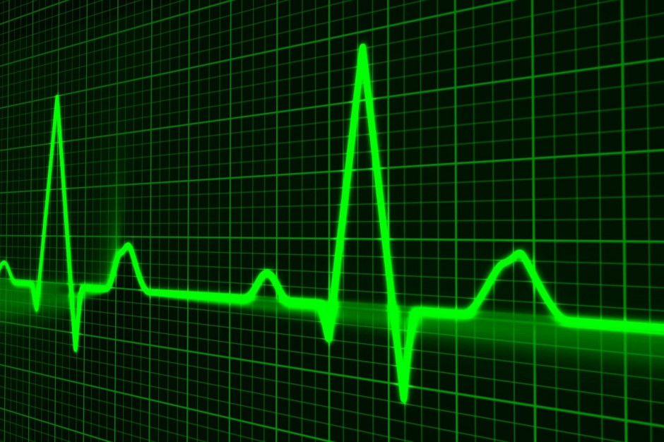 57-letni David Bennett otrzymał wieprzowe serce 11 stycznia br. Niestety, pacjent zmarł, fot. pixabay