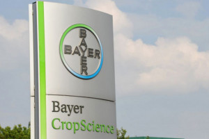 Niemiecki Bayer AG zawiesił inwestycje w Rosji
