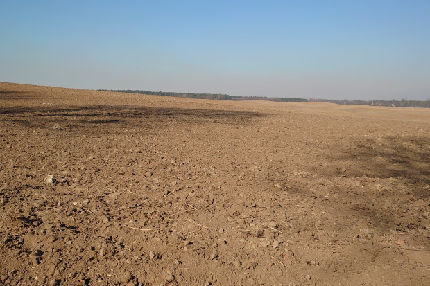 Zasolenie gleby to globalny problem