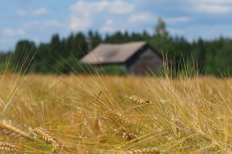 W Finlandii eksplozja cen surowców coraz bardziej zagraża zdolności krajowego rolnictwa do produkcji; Fot pixabay.com
