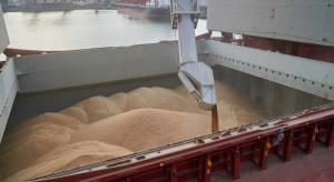 Co z eksportem zbóż z polskich portów?