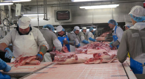 Znacząca strata w handlu wieprzowiną. Wielka Brytania ograniczy import z Polski