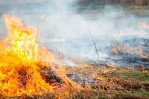 Pierwsze ofiary śmiertelne i ponad milionowe straty w pożarach traw