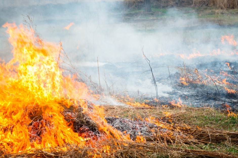 Wypalanie traw grozi pożarem; fot. Shutterstock