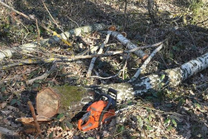 Konar drzewa spadł na gospodarza – zmarł na miejscu