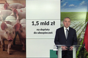 Minister Kowalczyk zachęca rolników do ubezpieczania upraw i zwierząt