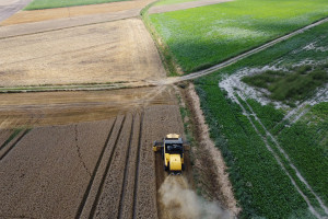 Poziom ceny zbóż uwzględnia wojnę w Ukrainie. To sygnał do przeceny?