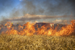 80-latek pierwszą śmiertelną ofiarą wypalania traw na Podkarpaciu