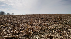 Wiosenna likwidacja ścierniska po kukurydzy