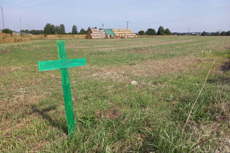 Zielony krzyż stał się w Europie Zachodniej symbolem sprzeciwu wobec Zielonego Ładu, Foto: GT