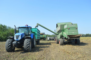 Wiceminister Wysocki: Ukraina w 2022 r. zbierze 48-50 mln ton zbóż