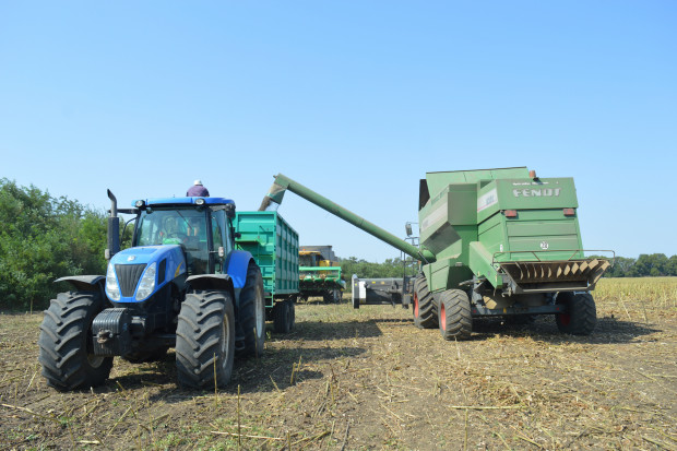 Ukraiński wiceminister rolnictwa: W tym roku oczekujemy zbioru zbóż na poziomie co najmniej 50 mln ton