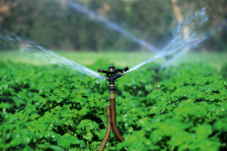 Dobór skutecznego systemu nawadniającego zależy nie tylko od rodzaju hodowanych upraw, lecz także od dostępu do wody, fot. Shutterstock