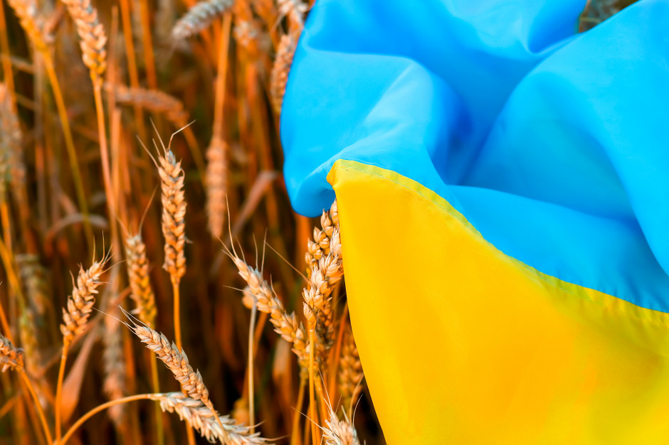 Agresja Rosji na Ukrainę winduje ceny zbóż i rzepaku, fot. AdobeStock