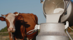 Maliszewska: Koniunktura na rynku mleka w maju najsłabsza od czasów pierwszej fali covidowej