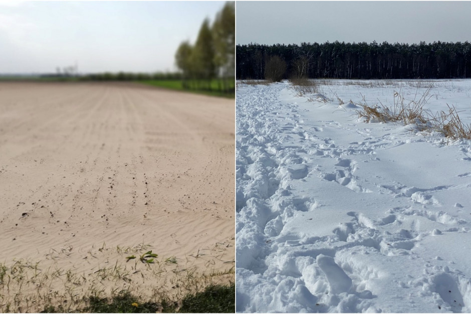 Ze skrajności w skrajność, albo susza albo obfite opady śniegu; Fot.farmer.pl