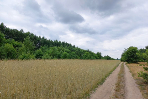Rząd planuje nowelizacje ustawy o gospodarowaniu państwowymi nieruchomościami rolnymi, Foto: GT Rząd ma przyjąć projekt noweli ustawy o gospodarowaniu nieruchomościami rolnymi Skarbu Państwa